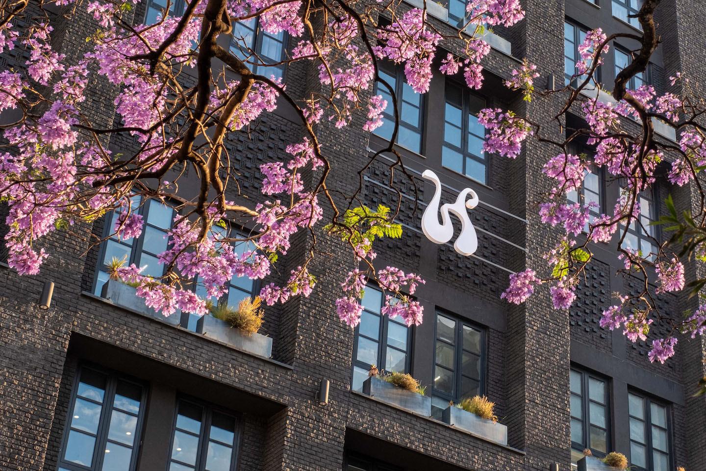 Close-up of the Hyde Johannesburg hotel’s dark brick facade framed by blooming purple jacaranda branches. The white "H" logo is visible on the building’s textured exterior.